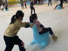 -冰纷万象滑冰场(二七万象城店)