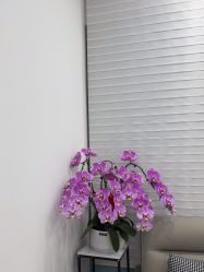 -和颜一美轻医美连锁