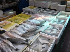水产区-芦潮港集贸市场