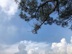 -广州市白云山风景名胜区