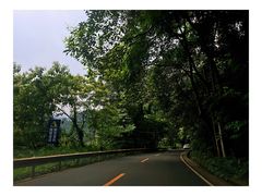 -峨眉山报国寺