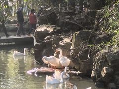 -兰亭风景区