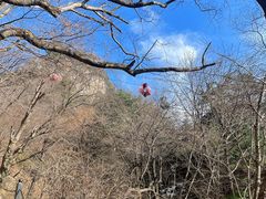-王顺山国家森林公园