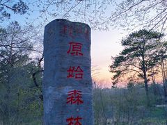 -大青沟风景区