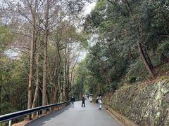 -大慈岩风景区