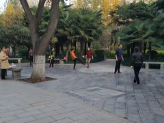 -莲湖公园