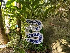 -呀诺达热带雨林