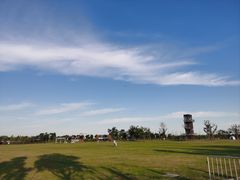 -春花秋色城市公园