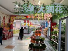 -大润发(合川店)