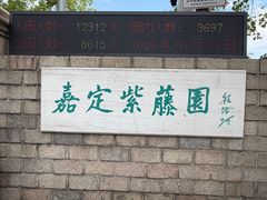 -嘉定紫藤园