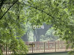 -川西竹海景区