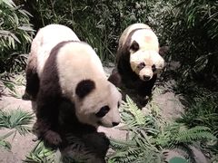 -长江文明馆