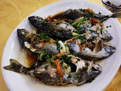 -安记烧鹅(新桥店)