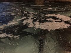 -阿斯牛牛·凉山菜(新会展店)