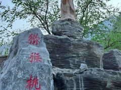 -大岭沟猕猴桃谷风景区