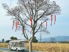 -良渚古城遗址公园