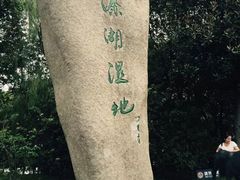 -溱湖国家湿地公园