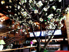 android_upload_pic-山有花啡餐厅(常营总店)