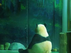 -五龙山野生动物王国