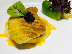 -锦鲤堂日本料理(莱茵之星店)