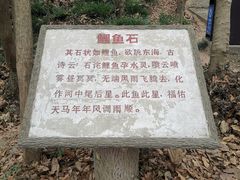 -上海佘山国家森林公园天马山园