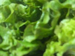 -九田家黑牛烤肉料理(香河店)