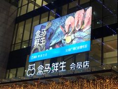 门面-盒马鲜生(宝地店)