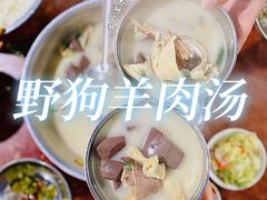 羊肉汤-野狗羊肉汤