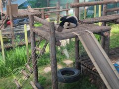 -大连森林动物园