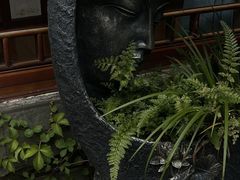 -松云泽
