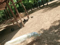 -秦皇岛野生动物园