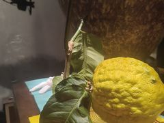 -王府茶楼茶宴·创意菜(朝阳公园店)