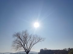 -渤公岛生态公园