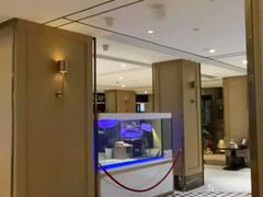 -白玉兰酒店(上海田子坊马当路地铁站店)