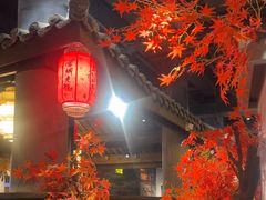 -蓉城老妈火锅(双林路店)
