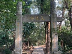 -上海佘山国家森林公园天马山园