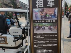-大槐树寻根祭祖园