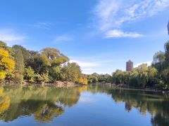 -北京大学