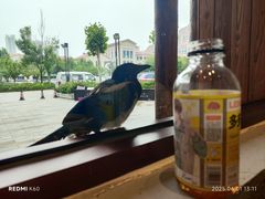 -赵小犇·江湖川菜馆