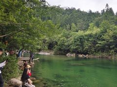 -石台牯牛降景区