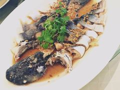-无招牌海鲜餐厅(滨海艺术中心店)