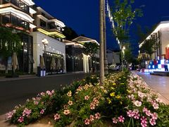 -湘湖金融镇