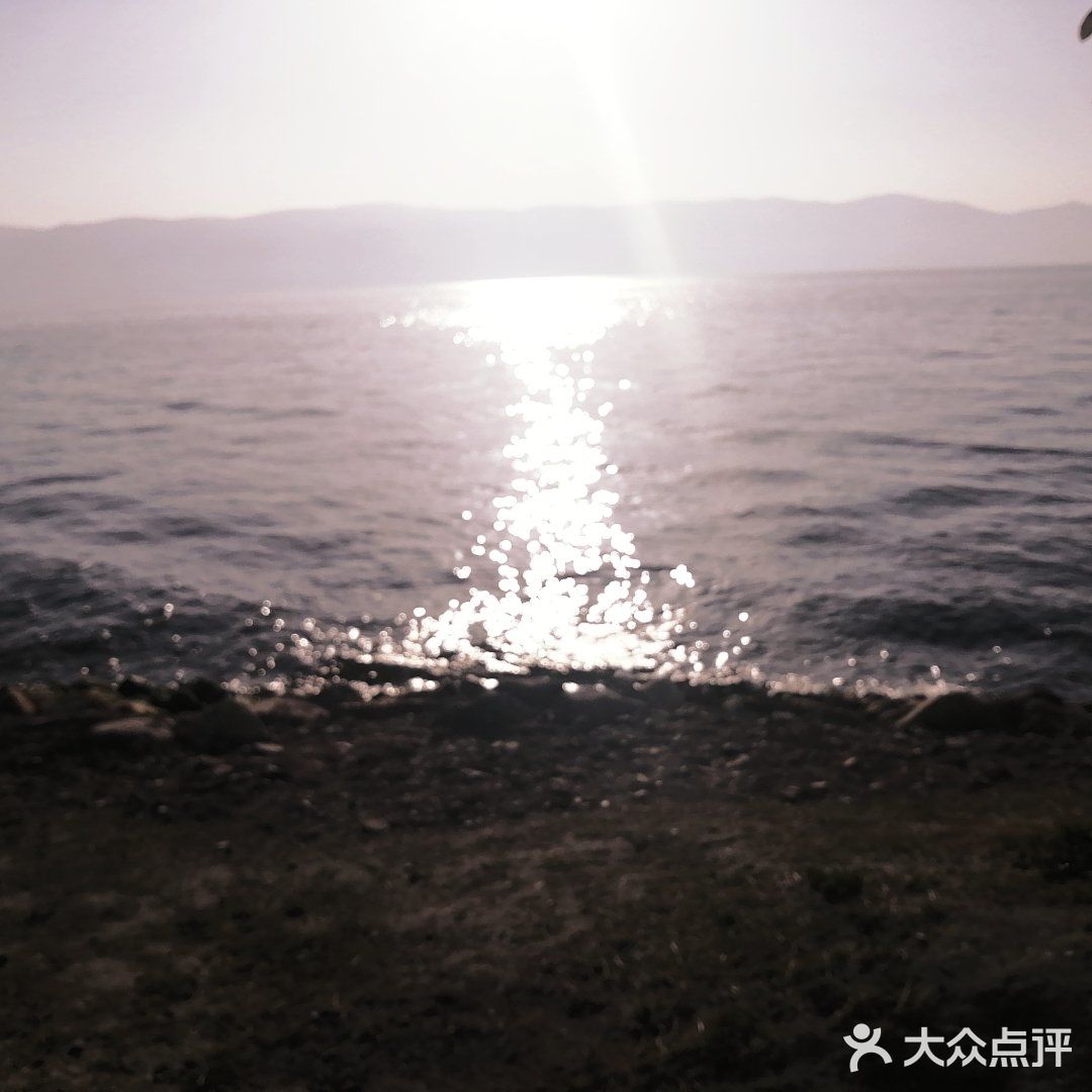 大理yyds