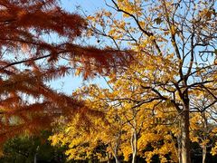 -浙江农林大学(东湖校区)