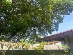 -中国茶叶博物馆(双峰馆区)