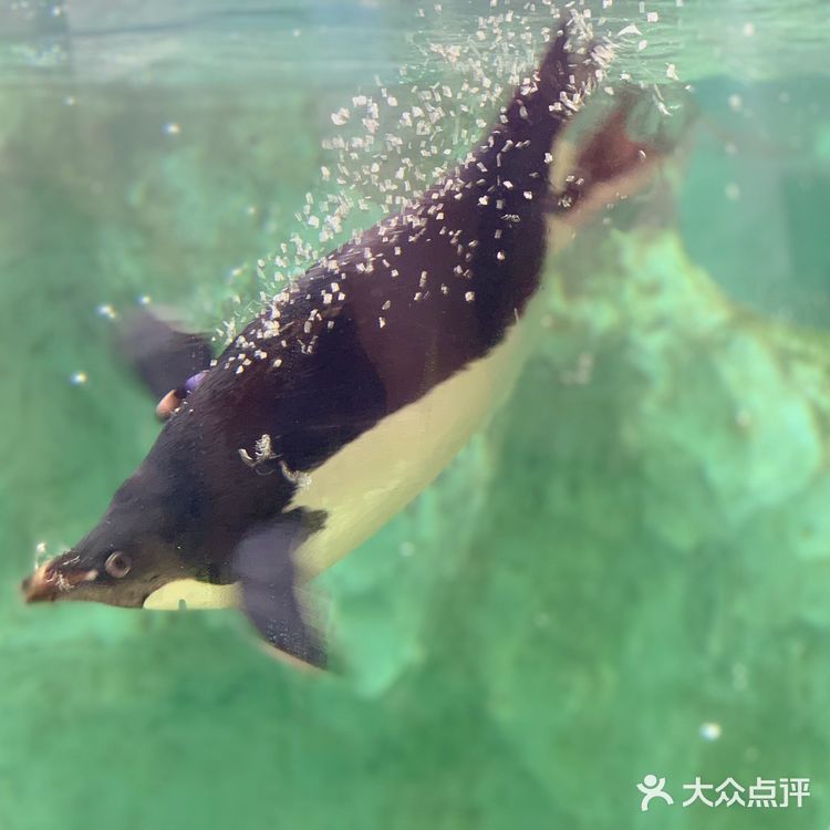 是有故事情节的烟火表演