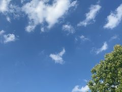 -上海佘山国家森林公园天马山园