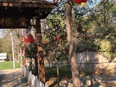 -草根堂农场