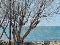 -上海吴淞炮台湾国家湿地公园