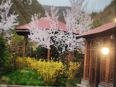 -麦积山温泉